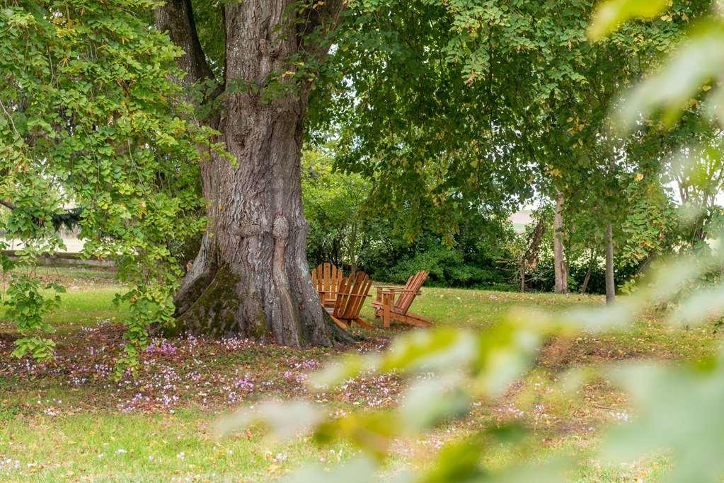 Le Domaine De Mestre, The Originals Relais Fontevraud L'Abbaye Ngoại thất bức ảnh